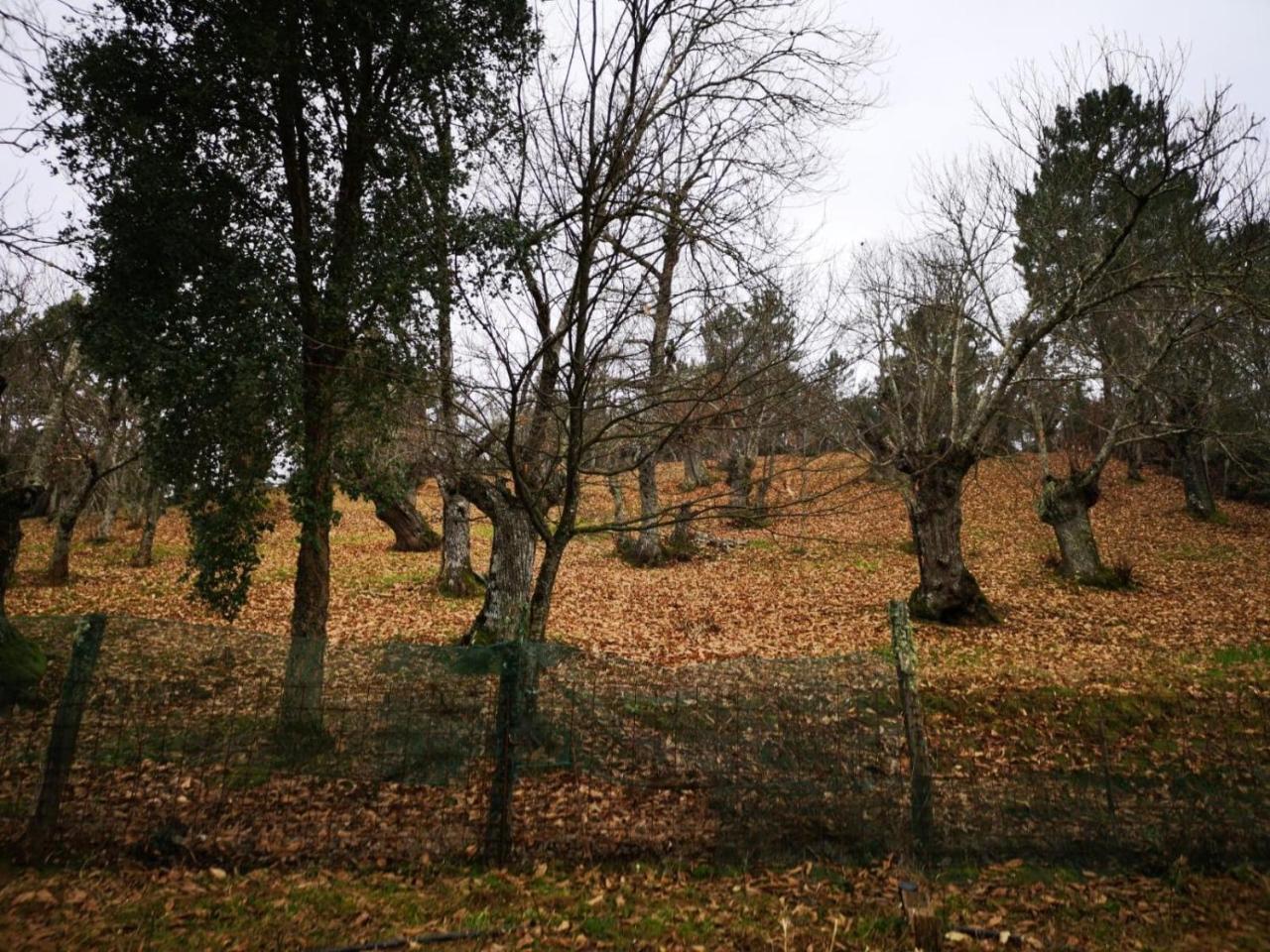 Valle Granado Fuenteheridos Exterior photo